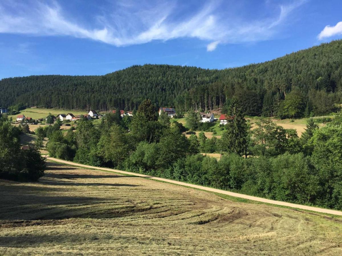 Ferienwohnung Herbert Best Baiersbronn Exteriör bild