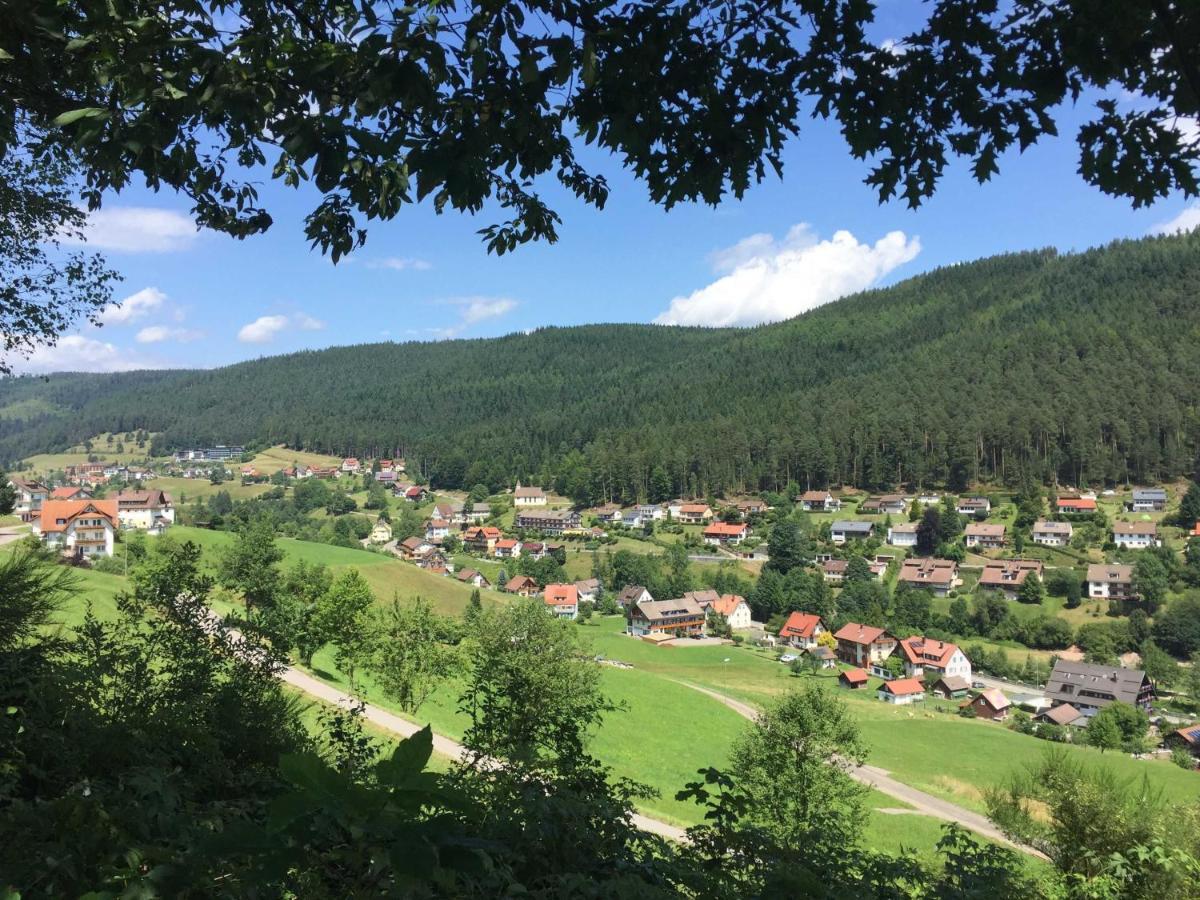Ferienwohnung Herbert Best Baiersbronn Exteriör bild