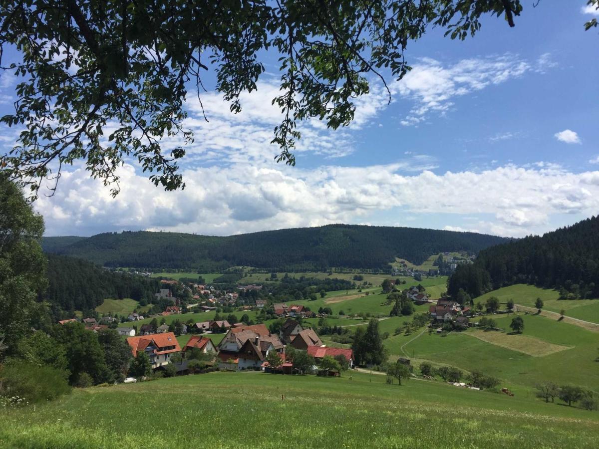 Ferienwohnung Herbert Best Baiersbronn Exteriör bild